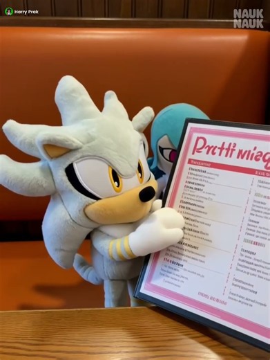 Sonic and Shadow and Silver and Sky Diaper at Hooters