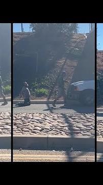 Man struck by vehicle during unusual altercation