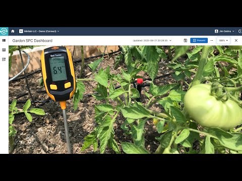 SPC Tools Compared: What Helped My Peppers Thrive? — Prolink, Connect, or RTSPC?