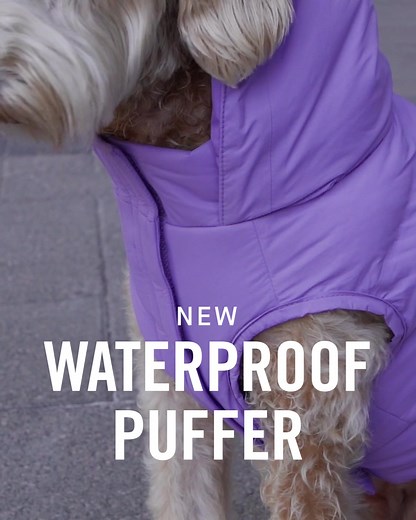 3.9K views · 366 reactions | Our first insulated dog parka with a waterproof shell to protect your pup from the elements!  | Canada Pooch | Facebook