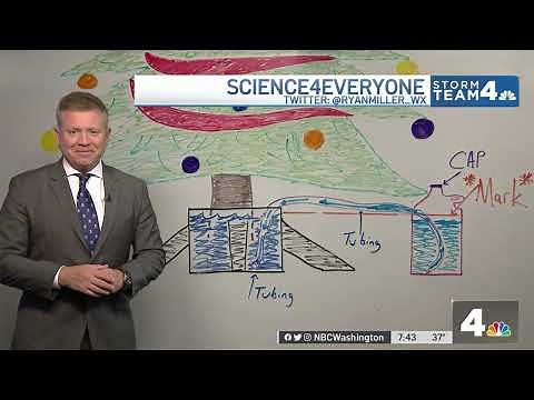 Holiday Science: How to Make a Christmas Tree Watering Device | NBC4 Washington