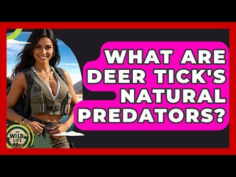 What Are Deer Tick's Natural Predators? - The Wild Life Explorer