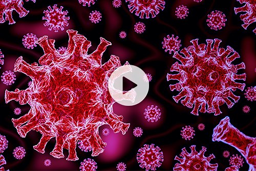 Prevent COVID-19: How to Protect Yourself from the Coronavirus