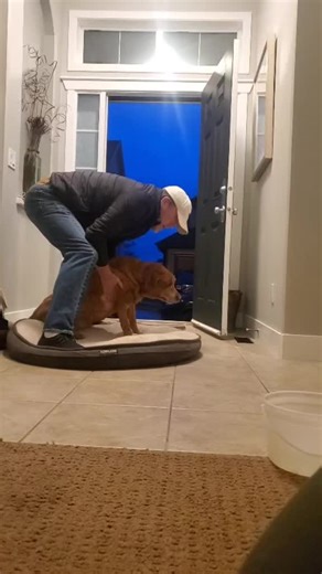 Saying Goodbye to a Beloved Pet: Coping with Loss