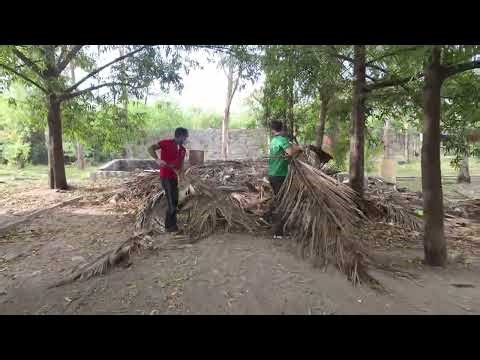 Cleanliness Drive - Oct 02 2025