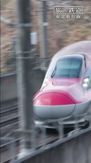 東北新幹線で巡る絶景旅Part.2【JTB公式Official】#東北新幹線 #新幹線 #鉄道 #はやぶさ #こまち #jtb