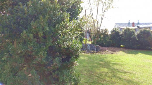 SALUTE! NEVER FORGET the story of Albert Gallatin Willis (1841–1864), a Confederate soldier and ministerial student who literally gave his life for a friend. He was the embodiment of the biblical sacrificial love—"Greater love hath no man than this, that a man lay down his life for his friends" (John 15:13). This phrase is etched on his gravestone at Flint Hill Baptist Church in Rappahannock County, Virginia. Willis was executed by Union forces when he offered his own life in place of a comrades