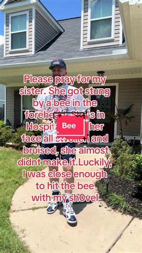 Bee Sting Incident: A Call for Prayers