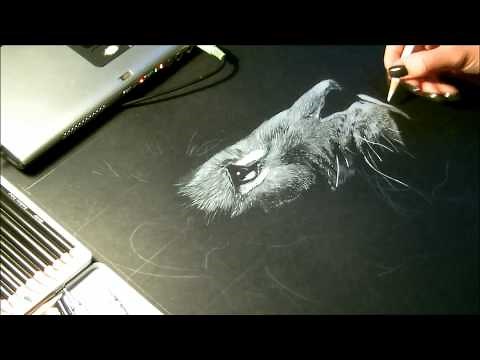 Speed drawing, dessin "Lion" Crayon blanc sur fond noir
