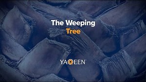 The Weeping Tree | Animation | Yaqeen Institute for Islamic Research