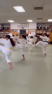 Fukyu Kata Daisan in our Children’s class tonight. | Okinawa Goju Ryu Karate Do International