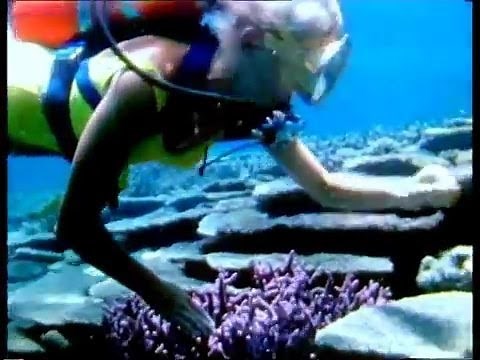 Vintage Scuba Diving Australia 1960s