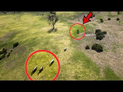 DRONE CAPTURES Terrifying Moments! Horse Rider Chased by Wolf Pack in the Wild