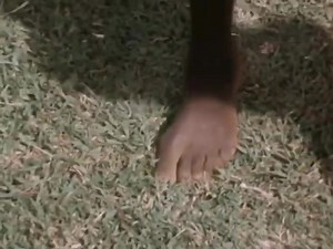 Born on 13 June 1959 Sabina Chebichi won her first marathon in 1973 while barefoot and wearing nothing but a petticoat. Sabina went on to become the first Kenyan female athlete to win a medal at the Commonwealth Games in 1974. NIKE where were you #wakandanconnection | Wakanda