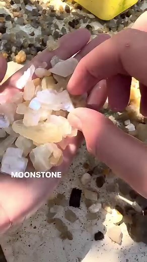 42K views · 219 reactions | Mining Moonstone in Sri Lanka  Sri...