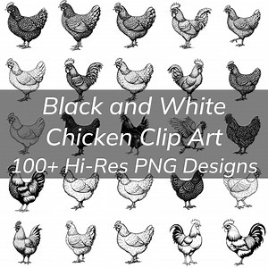 Black and White Chicken Clip Art Bundle 100  Transparent PNG Chicken, Hen, Rooster, Chick Black-white Clipart Png Funny Chicken Clip Art - Etsy