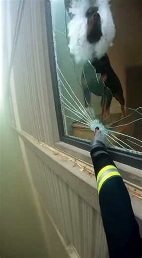 Firefighter Rescues Girls Dog 🥹