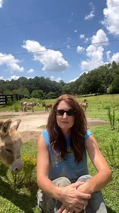 14K views · 461 reactions | Donkey facts! Let's get into it!! And yes you can nerd out real hard on this and get super precious but remember my 38 Special approach to farming: hold on loosely but don't let go! #donkeys #minidonkeys #petoftheday #petstagram #cuteanimals #farmlife #animals #donkeycare | The Good Place Farm | Facebook