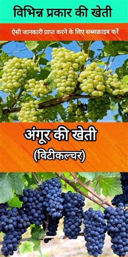 Different Types of Farming Methods_#farming #agriculturelife #newtechnologyideas