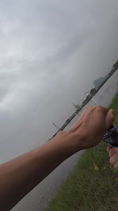 1.7M views · 68K reactions | Dậy sớm cho cuộc chiến ao hồ | Đỗ Đạt Fishing | Facebook