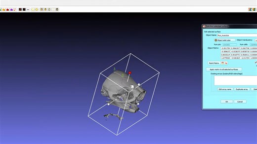 推荐！免费好用的三维定点软件MorphoDig-附使用教程
