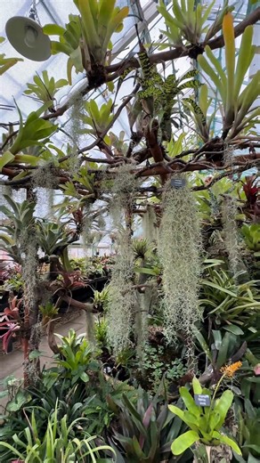 Make a day of it at Walton Hall and Gardens! From stunning gardens and accessible playground to the Children’s Zoo, adventure golf, and peaceful woodland walks, there’s something for everyone to enjoy. 🌳 We're open daily from 8am to 4.30pm, so start planning your perfect day out today at waltonhallgardens.co.uk/visit. | Walton Hall and Gardens