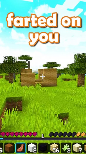 Skunk Encounter in Minecraft Funny Moments