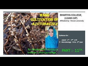 mass cultivation of azotobacter