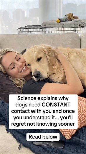 Dogs don’t touch you all the time by accident 🐕 There are 3 emotional biological reasons behind it. 💛 You are home Leaning on you = safety, family, belonging. 🧠 You calm their nervous system Your warmth, scent, and breathing tell their body: we’re safe. 👀 They’re always protecting you Even when resting, dogs stay half-alert to keep watch over YOU. But here’s what most people miss… Dogs love silently. They hide pain. And one of the biggest hidden reasons behind that pain is collagen loss. 🦴 