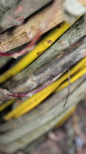 Stick worker & sculptor Patrick Dougherty on his site specific installations and nature