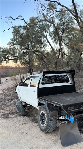 Best Tips for Navigating IFS Issues