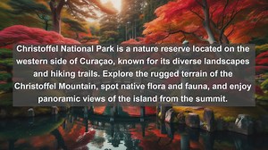 Discovering Curaçaos Stunning Landscapes: Top 10 Must-Visit Destinations