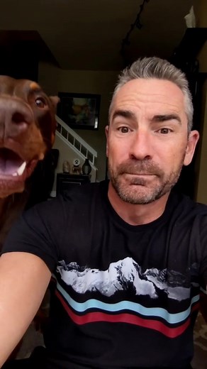 What it's like to own a Doberman #doberman #rubydooby_do #dog #dobermann