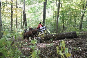 18K views · 212 reactions | This week on Rural Heritage on RFD-TV we travel to Berea College in Central Kentucky where some of the best horse loggers in the country got together to demonstrate restorative forestry techniques. Tuesday at 3:30 pm and Saturday at 2:30 pm, Central Times. | Rural Heritage Magazine | Facebook
