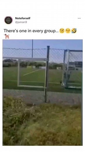 Husky Lovers ❤️ on Instagram: "Always has to be husky 😂 Follow @huskysplanet for more! 🎥: @naked.shepherds"