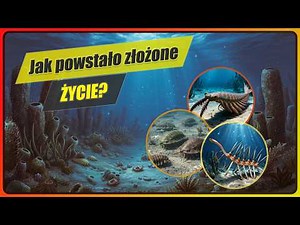 Kambr - eksplozja kambryjska, pierwsze duże drapieżniki - Historia Ziemi #6