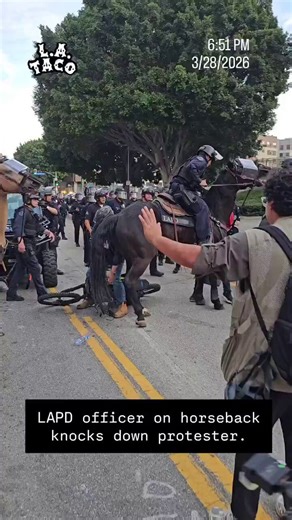 NO KINGS LEFTIST CLOWN TRIES TO BLOCK LAPD HORSE AND GETS LAUNCHEDA No Kings protester decides to body-block an LAPD horse and learns physics the fun way. The perfectly timed fail in this short clip is instant meme gold.Always Drink, and Cry, Responsibly.