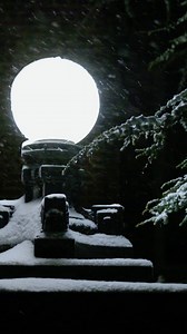 Peddie's campus is a winter wonderland! ❄️ | The Peddie School