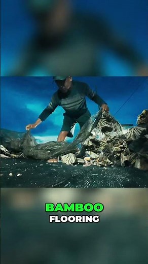 Collecting Tiny Lobster Larvae: A Fisherman's Art