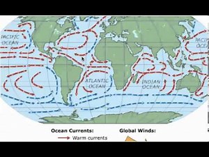 Gyres