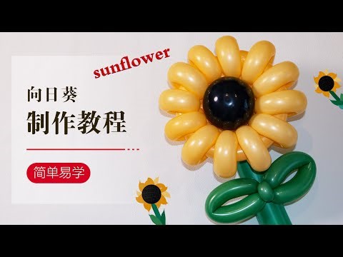 DIY Balloon Flowers/气球教学/向日葵/简单易学/Balloon art/sunflower/How to make a balloon sunflower