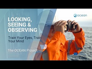 Enhancing situational awareness with Improved Observation | The Nautical Institute