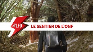 7.1K views · 155 reactions | Saint-Denis n'est pas seulement la plus...