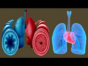 Shortness Of Breath: Best Home Remedies