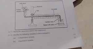 (1)3.1.1. Name the apparatus used in this experiment(1)(a) I... | Filo