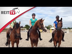 Die REITTV-News vom 24. Juli 2015
