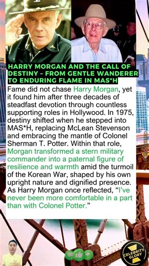 Harry Morgan And The Call Of Destiny – From Gentle Wanderer To Enduring Flame In MAS*H