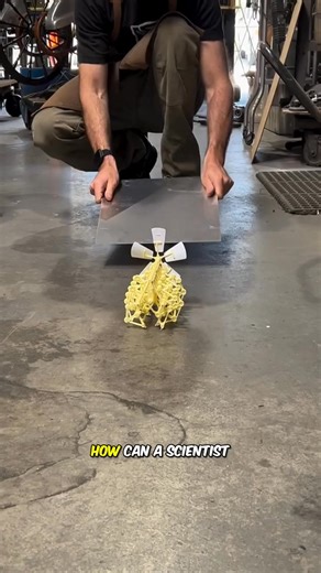 Living machines created by man | Interesting Knowledge