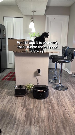 If you’ve ever wondered how to feed your cat wet food when you’re not home, this is the safest setup I’ve found. This refrigerated cat feeder keeps wet food stored cold and serves meals automatically at scheduled times, so your cat eats on routine even if you’re away overnight or traveling. #tiktokshopcreatorpicks #tiktokshopstockup #tiktokshopspringglowups