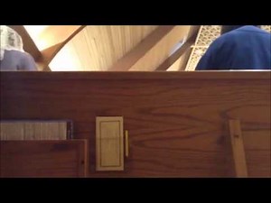 Advent Gospel Acclamation- week 3